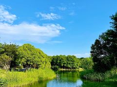 -尚贤河湿地
