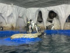 -太平洋海底世界餐厅