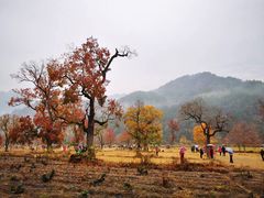 -罗田天堂寨风景区