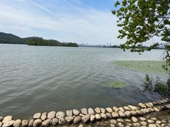 -东湖落雁景区
