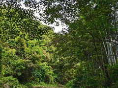 -大观园昆山峡漂流