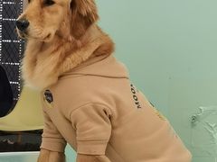 -怪兽屋·羊驼·猫咖·狗咖(俊华广场店)