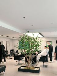 -付军剪艺JF ProSalon
