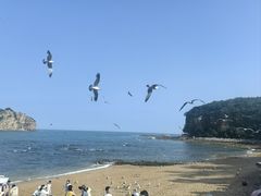 -棒棰岛宾馆景区
