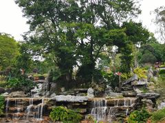 -东莞植物园