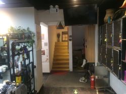 -AFA Hair studio·女士发型设计