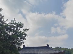 -金龙寺国家森林公园
