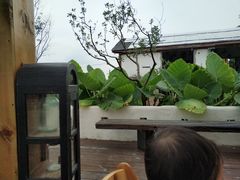 -悦哉·派对·草坪婚礼·围炉煮茶(三圣乡店)