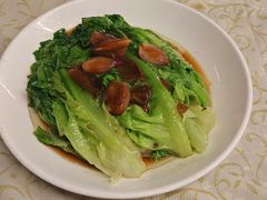 -百利鸽王(紫薇路店)