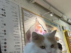 -平行世界·猫咖(首经贸店)