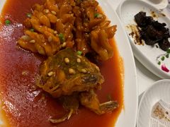 松鼠桂鱼-上海会馆(香港名都店)