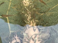 -苏州湾王焰温泉度假酒店