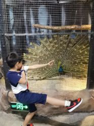 -酷嗒动物文化乐园(cutezoo西溪乐天城店)