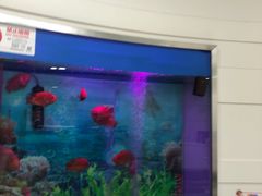 -雅悦齿科(顾村公园店)