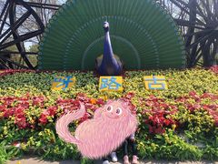 -呀路古热带植物园