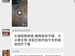 -哆趣宠物医院·眼科·内镜·急重症转诊中心(上海店)