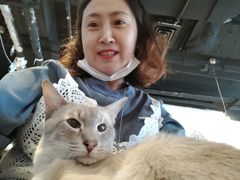 -Cappucimeow猫咪咖啡馆(韦伯时代店)