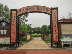-上海长兴岛郊野公园