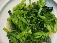 -小小饭店·休闲农庄·安吉松树林里的农家菜
