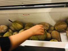 -都念榴莲·城市榴莲