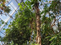 -北京植物园-展览温室