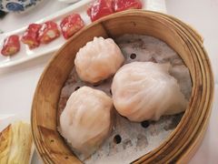 金鼎鮮味虾饺皇-广州酒家(文昌总店)