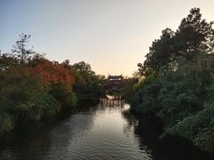 -三垟湿地
