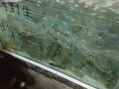 -海盗餐厅