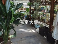-北京师范大学附属中学