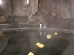 -裕龙汤泉