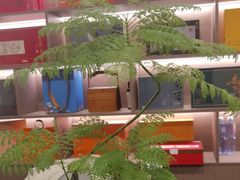 -素禅棋牌会所(海阳路店)