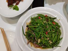 -紫光园·烤鸭(吕家营店)