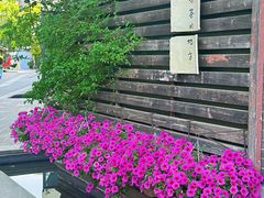 -铁像寺水街