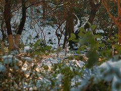 -南京市江宁方山