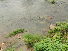 -山沟沟景区