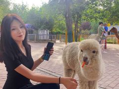 -水上乐园·欢乐世界