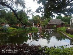 -云南民族村