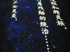 -水秀国际大剧院