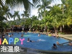 -100蛋泥浆浴