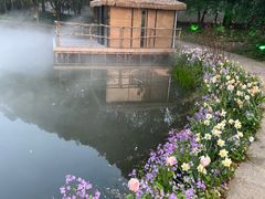 -无锡梅园公园