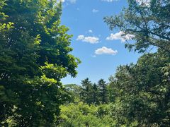 -国家植物园南园