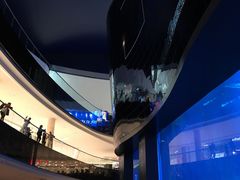 -迪拜水族馆及水下动物园