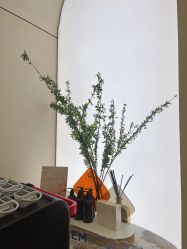 -Fundi张玉珊修身堂·indiba·BTL科技瘦身