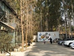 -桉树林A coffee 森林餐厅(三圣乡店)