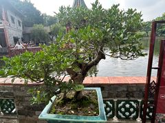 -东莞市可园博物馆