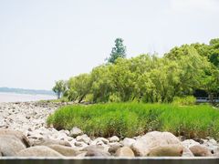 -上海吴淞炮台湾国家湿地公园