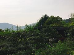 -旺山景区