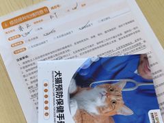 -瑞鹏宠物医院·骨科·猫科·内科(第一中心)