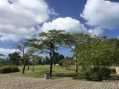 -美国纪念公园