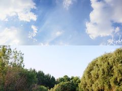 -长白岛森林公园